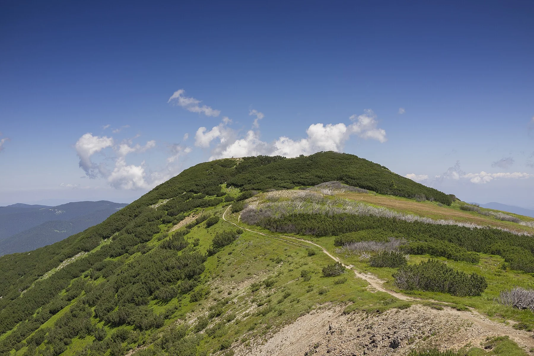 Planinski greben Krstac na Vranici